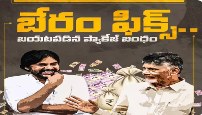 బేరం ఫిక్స్ : పవన్ కల్యాణ్ ప్రకటనపై వైసీపీ రియాక్షన్