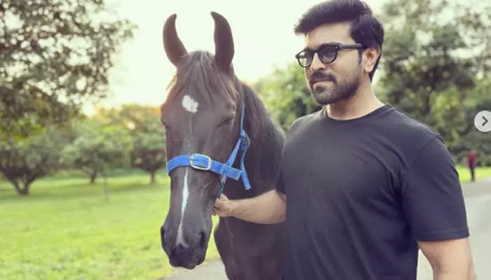 కొత్త ఫ్రెండ్‌ను ఇంటికి తెచ్చుకున్న Ram Charan.. పిక్స్ వైరల్