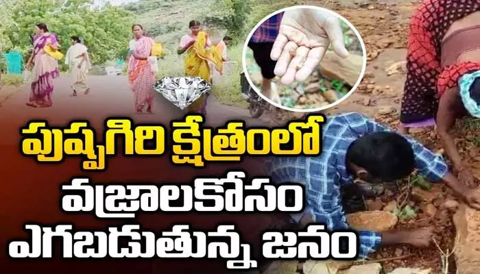 వజ్రాల వేట.. పుష్పగిరికి క్యూ కట్టిన జనం