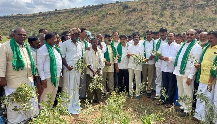 ప్యాపిలి, డోన్ మండలాలను కరవు మండలాలుగా ప్రకటించాలి: TDP