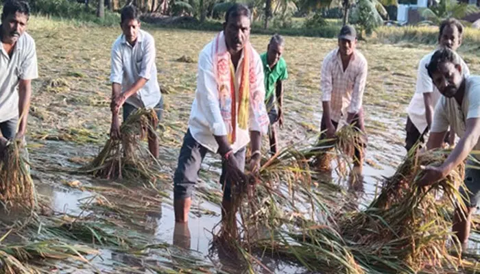 ఆదుకోండి: ఏపీకి కేంద్రబృందం...మరికాసేపట్లో పర్యటన