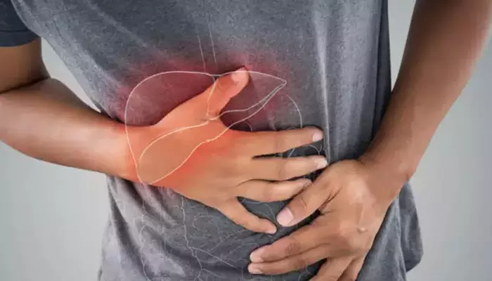 LIVER FUNCTION : సోషల్ మీడియాలో చెప్పేవన్నీ ఫాలో అయితే..  లివర్ ఖరాబ్ అవడం ఖాయం...