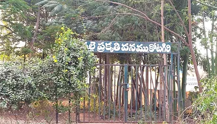 ప్రకృతి వనంతో పరేషాన్