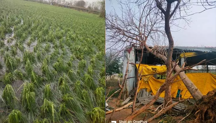 ఈదురు గాలులు, రాళ్ల వర్షానికి అపార నష్టం