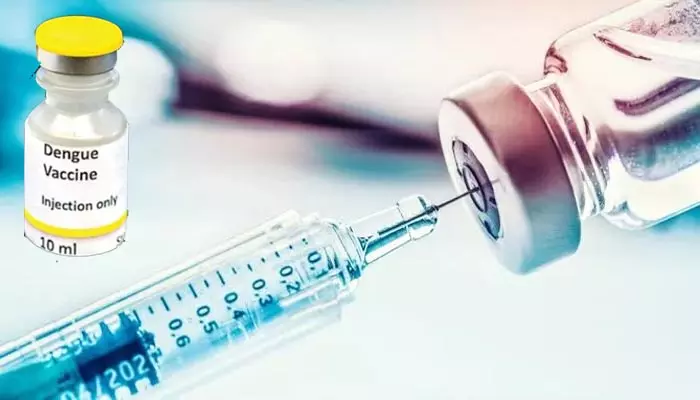 Dengue Vaccine: దేశ ప్రజలకు భారీ గుడ్‌న్యూస్ .. డెంగీకి త్వరలోనే సింగిల్ డోస్ వ్యాక్సిన్