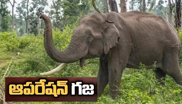 BREAKING: కొమురం భీం జిల్లా కాగజ్‌నగర్ కారిడార్‌లో టెన్షన్.. టెన్షన్, కొనసాగుతున్న ‘ఆపరేషన్ గజ’