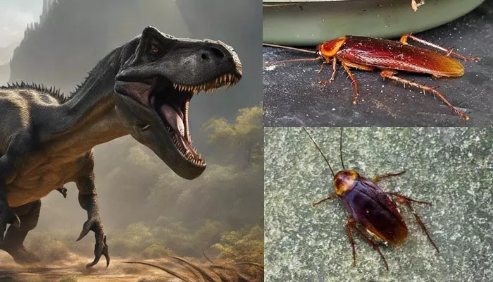 cockroaches : ప్రపంచాన్నే వణికిస్తున్న ఒకే ఒక చిన్న కీటకం.. డైనోసార్లకంటే భయంకరంగా..