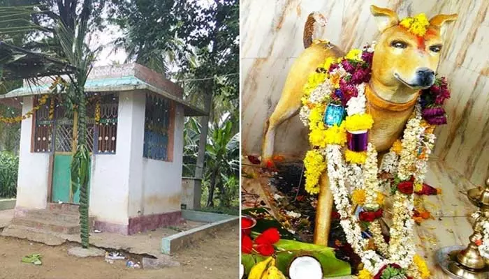 Dog Temple : కుక్కలకు గుడి కట్టిన గ్రామస్థులు.. ఎక్కడంటే?