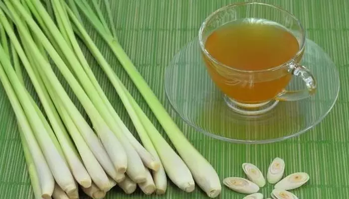 Lemon grass tea : రోజూ ఈ టీ తాగితే ఆ సమస్యలకు చెక్.. క్యాన్సర్లు, గుండె జబ్బులు కూడా..