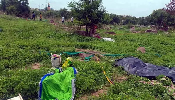 మియాపూర్ భూముల కేసులో ఏ1 సంగీతకు బెయిల్