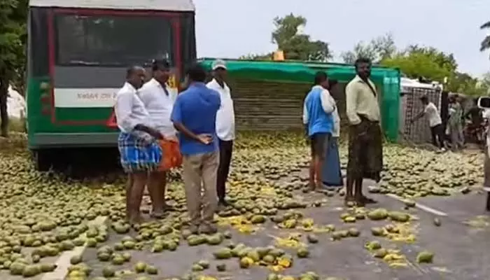 చిత్తూరు జిల్లాలో మామిడికాయల లారీ బోల్తా.. జనాలు ఏం చేశారంటే..!