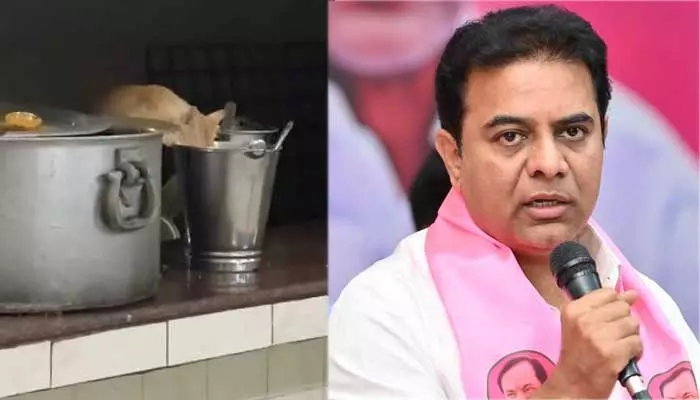 JNTU హాస్టల్‌లో ఆహారం తింటున్న పిల్లి.. KTR సెన్సేషనల్ ట్వీట్