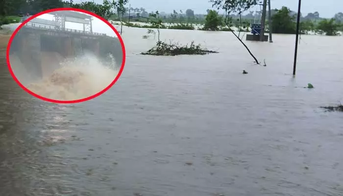 Bhadradri Flooding: వరదలో చిక్కుకున్న ఐదుగురు.. చెట్ల పైకి ఎక్కి సాయంకోసం అరుపులు