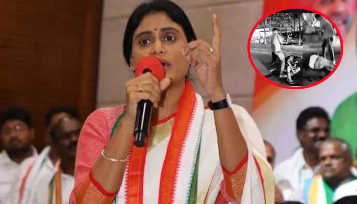 YS Sharmila: పల్నాడులో యువకుడి హత్యపై తీవ్రస్థాయిలో మండిపడ్డ వైఎస్ షర్మిల