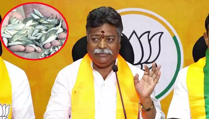 BJP OBC Morcha : చేప పిల్లల బిడ్డింగ్‌లో రూ.100 కోట్ల అక్రమాలు