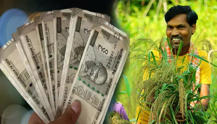 Farmers Subsidy: రైతులకు కేంద్రం మరో గుడ్ న్యూస్.. వారికి మూడేళ్ల పాటు సబ్సిడీ