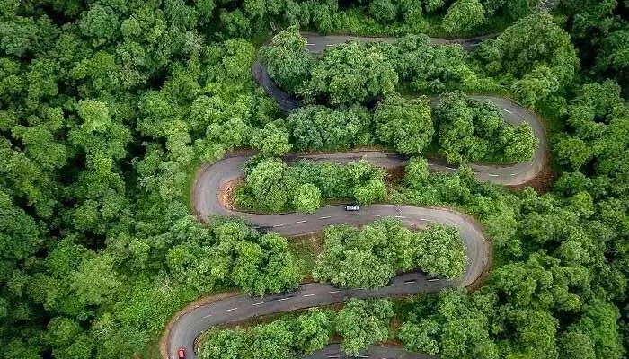 Heavy Rains:భారీ వర్షాల ఎఫెక్ట్..ఆ జిల్లాలోని ఘాట్ రోడ్లు మూసివేత