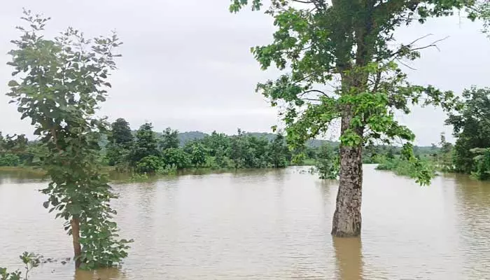 Flood : ప్రాణహిత పరవళ్లు..  నీట మునిగిన వేలాది ఎకరాల పంట పొలాలు