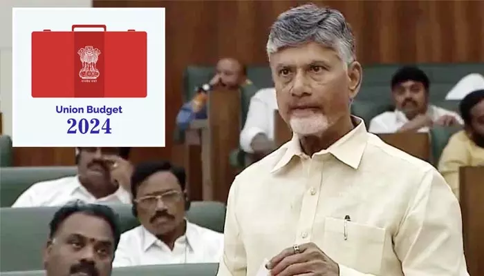 Union Budget-2024: కేంద్ర బడ్జెట్‌లో ఏపీకి వరాల జల్లు.. సీఎం చంద్రబాబు రియాక్షన్ ఇదే!