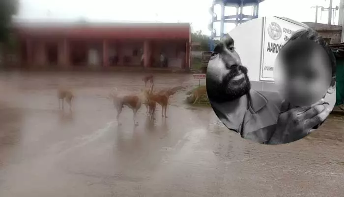 Dogs Attack :విధి కుక్కల దాడి.. బాలుడి పరిస్థితి ఎలా ఉందంటే..?