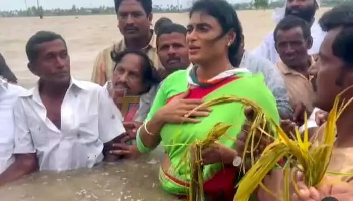 YS Sharmila:నడుం లోతు నీళ్లలో షర్మిల..రైతులను ఆదుకోవాలని వినతి