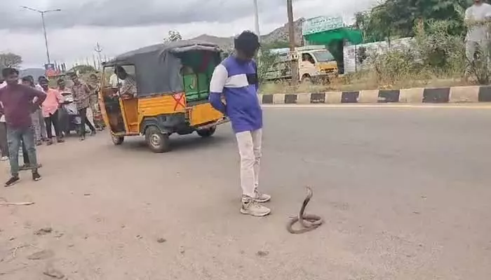 Viral Video : తాగిన మైకంలో నాగుపాముతో నాటకాలు.. దాంతో పెట్టుకుంటే మాములుగా ఉంటదా..