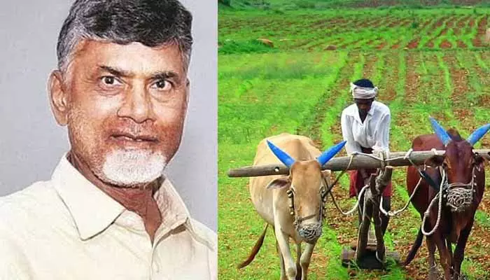 AP News:ఏపీ రైతులకు చంద్రబాబు సర్కార్ భారీ గుడ్ న్యూస్!