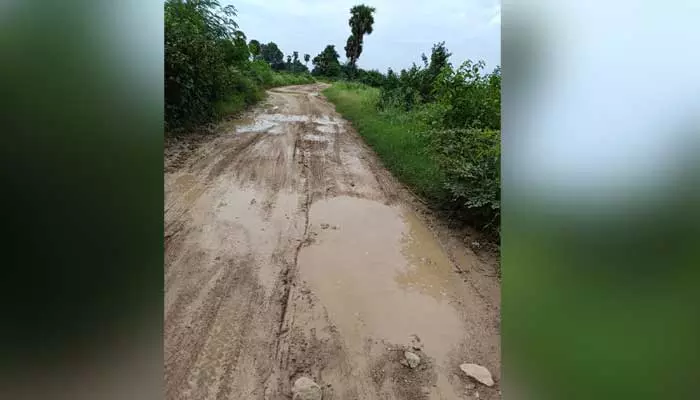 Rural roads : పల్లె రోడ్లకు మోక్షమెప్పుడో...నరకయాతనగా ప్రయాణం...