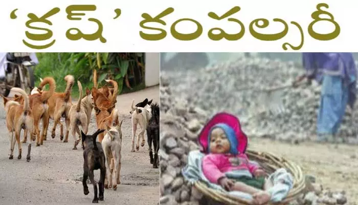 పెంపుడు కుక్కకు ఏబీసీ-ఏఆర్ మస్టు