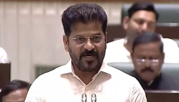 CM Revanth Reddy: కాళ్లు, చేతులు విరిచినా బుద్ధిమారదా?.. అసెంబ్లీలో సీఎం రేవంత్ రెడ్డి ఫైర్