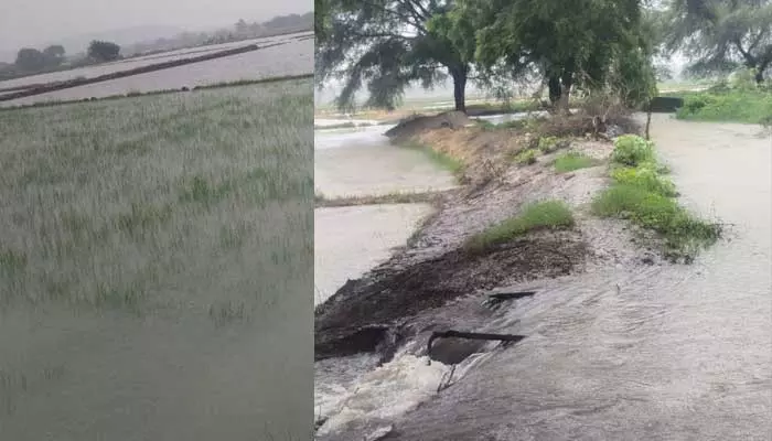 Incessant rains : వరుణుడు ఇకనైనా కరుణించేనా..!