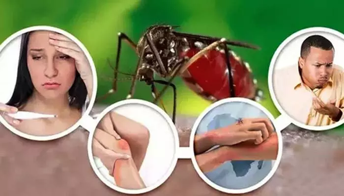 Dengue Symptoms: బీఅలర్ట్.. జ్వరంతో పాటు ఈ డేంజరస్ లక్షణాలు కనిపిస్తున్నాయా?