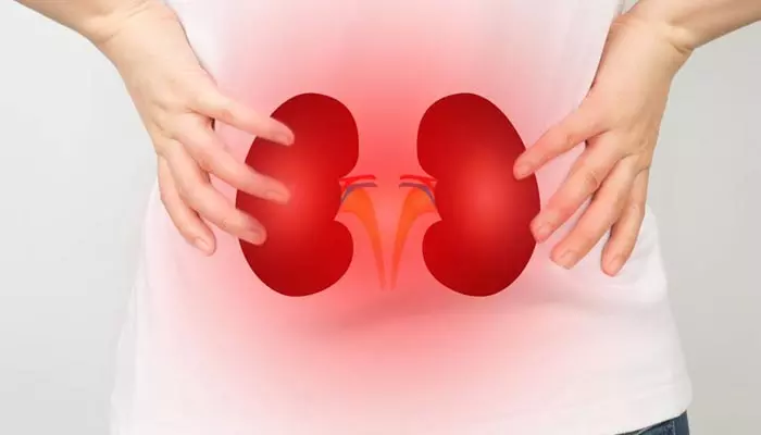 Kidney Health: ఈ అలవాట్లు డేంజర్.. మానుకోకపోతే కిడ్నీలు పాడవుతాయ్!