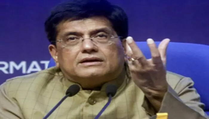 Piyush Goyal: రాహుల్ గాంధీపై కేంద్ర మంత్రి పీయూష్ గోయల్ విమర్శలు