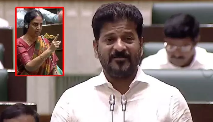 CM Revanth Reddy: సబితా ఇంద్రారెడ్డి ఆవేదనలో అర్థం లేదు