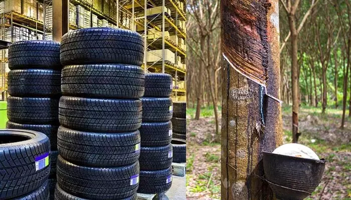 Tyre production: సహజ రబ్బరు కొరత కారణంగా తగ్గిన టైర్ల ఉత్పత్తి