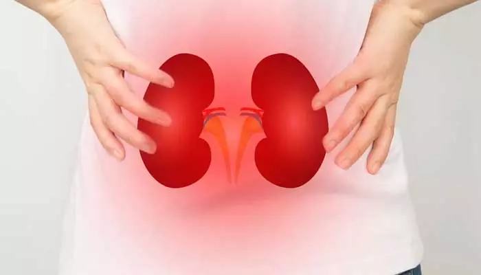 Kidney Problem:కిడ్నీలు పాడవుతున్నాయ్..రాష్ట్రంలో పెరుగుతున్న వ్యాధిగ్రస్తుల సంఖ్య!