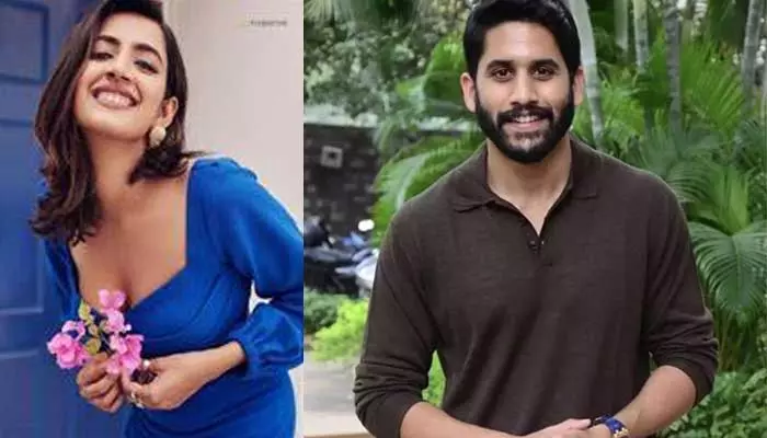 Niharika : మెగా హీరోలను కాదని అక్కినేని హీరోను లైన్‌లో పెట్టిన నిహారిక.. మెగా డాటర్ కోసం చైతూ వస్తాడా మరి!