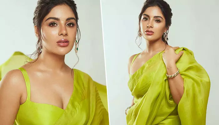 చీరకట్టుతో కుర్రాళ్ళకి పిచ్చెక్కిస్తున్న Samyuktha Menon