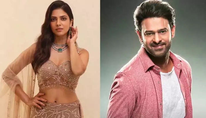 Malavika Mohanan: మా అమ్మ ఫుడ్ తర్వాత ప్రభాస్ ఫుడ్డే బెస్ట్.. యంగ్ బ్యూటీ ఇంట్రెస్టింగ్ కామెంట్స్