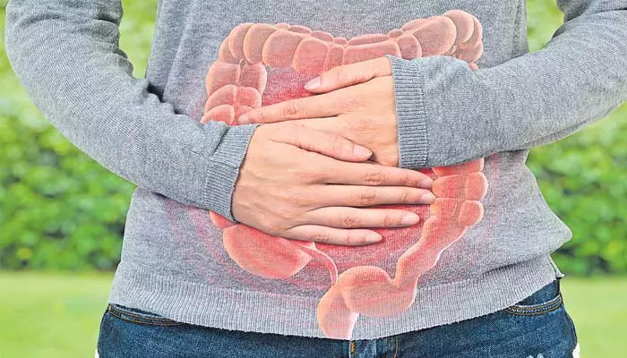 constipation : మలబద్ధకం సమస్యతో బాధపడుతున్నారా? ఈ టిప్స్ మీ కోసమే!