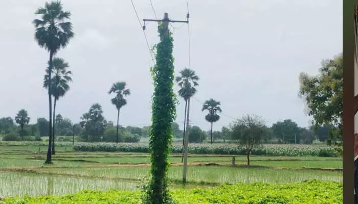 Electric pole : ప్రమాదం జరిగితేనే స్పందిస్తారా...!