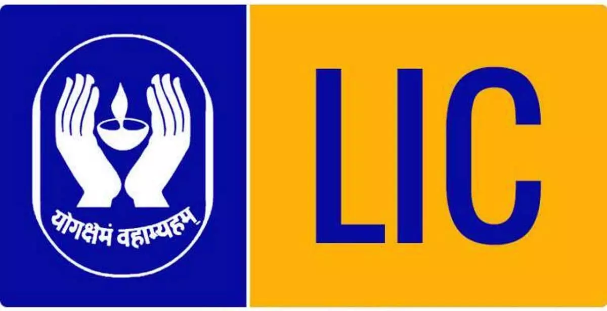 LIC: రూ.10 వేల కోట్లకు పైగా లాభాలతో దుమ్ము రేపిన LIC