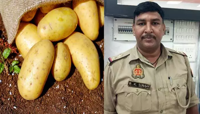 Potatoes SI : ‘5 కేజీల ఆలుగడ్డలు’ లంచంగా కోరిన ఎస్ఐ.. కానీ ఒక ట్విస్ట్ ఉంది..