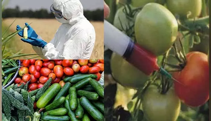 vegetables : కూరగాయల పై రసాయనాలు.. ఏ అవయవాలు దెబ్బతింటాయో తెలుసా ?