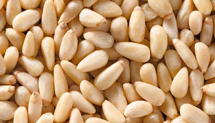 pine nuts : బంగారంకంటే విలువైన గింజలు.. తినడంవల్ల కలిగే బెనిఫిట్స్ తెలిస్తే అస్సలు వదలరు!