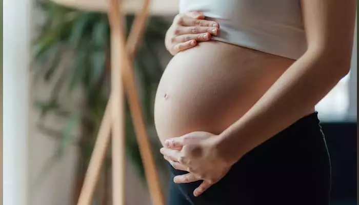 virgin pregnancy : శృంగారంతో అవసరం లేకుండానే గర్భం.. వర్జిన్ ప్రెగ్నెన్సీ అంటే ఏంటి..?