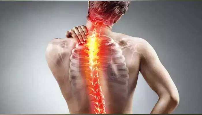 Back Pain : మీరు వెన్నునొప్పితో బాధపడుతున్నారా.. ఈ చిట్కాలు ఫాలో అవ్వండి..