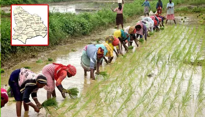 రూ. 2 లక్షల రుణమాఫీ.. నల్గొండ జిల్లా రైతుల లిస్టు ఇదే..!