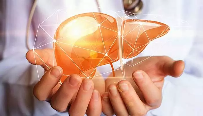 Pediatric liver disease : పీడియాట్రిక్ లివర్ డిసీజ్ అంటే ఏమిటి.. లక్షణాలు ఎలా ఉంటాయో చూసేద్దామా..